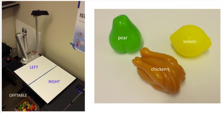 Robots and Kids Tabletop Experiment