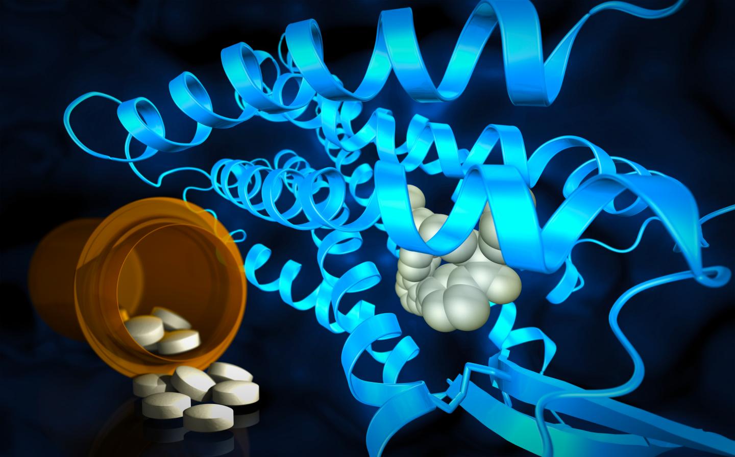 Drug Compounds Interact with Cell Receptors