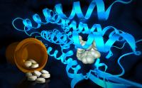 Drug Compounds Interact with Cell Receptors