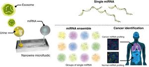 Nanowire-Based Urinary miRNA Extraction for Early Cancer Detection