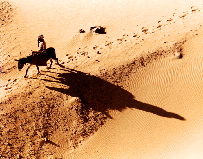 A man crossing the desert in Sudan on a donkey