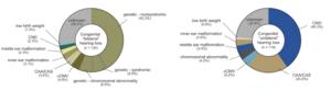 Etiology of children with congenital bilateral and unilateral hearing loss