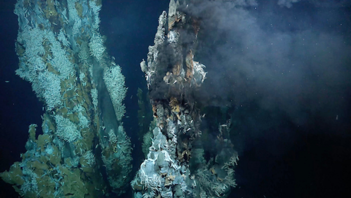 Un campo de ventilación hidrotermal recién descubierto en la cordillera de alta mar Puy de Folly en el Océano Atlántico Medio