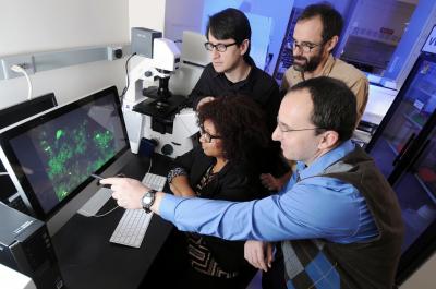 Analyzing Microbiome Data