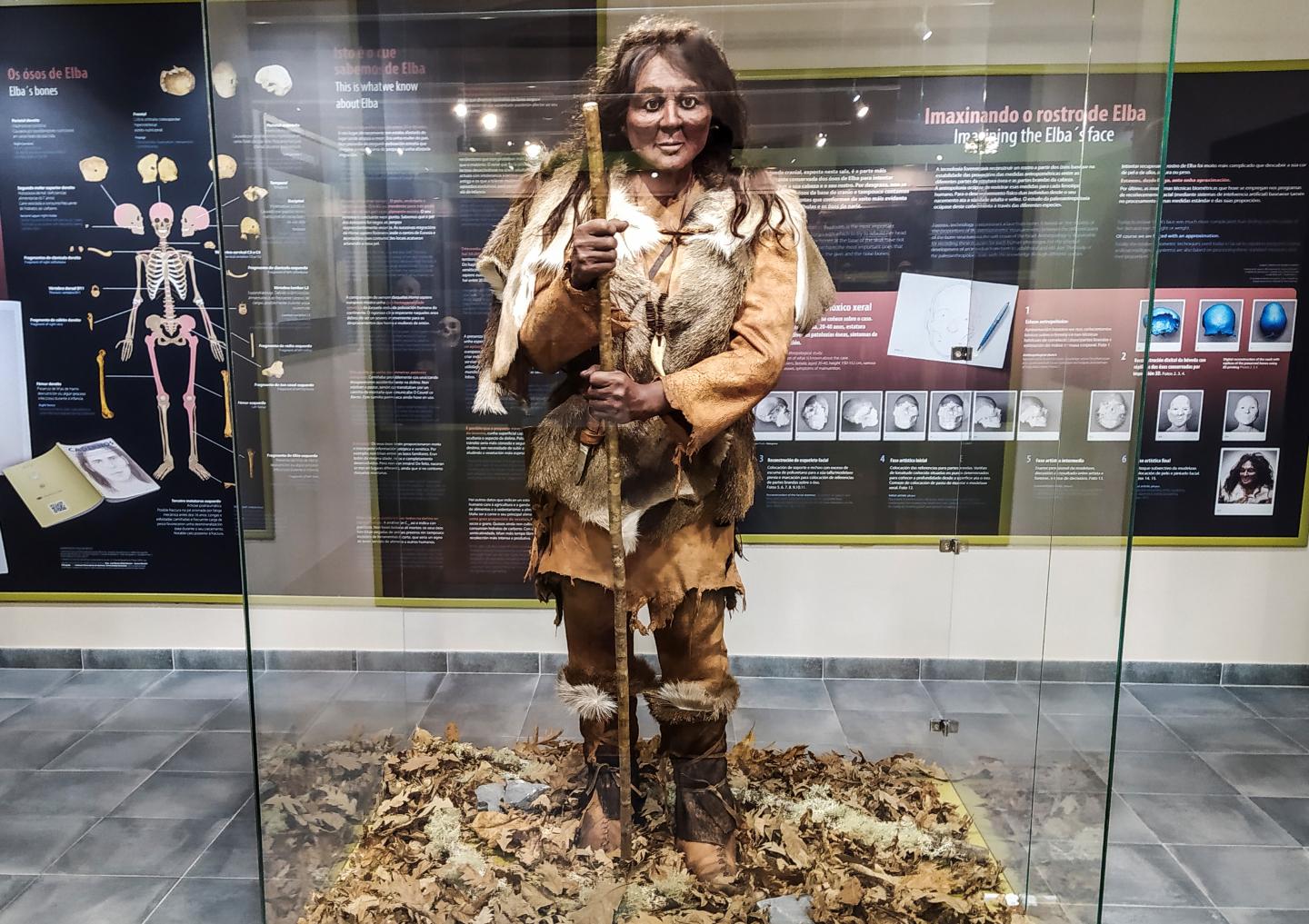 Reconstruction of the woman Elba