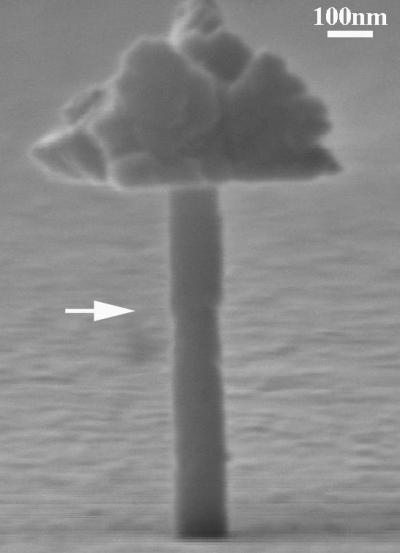 Nano Insights Could Lead to Improved Nuclear Reactors