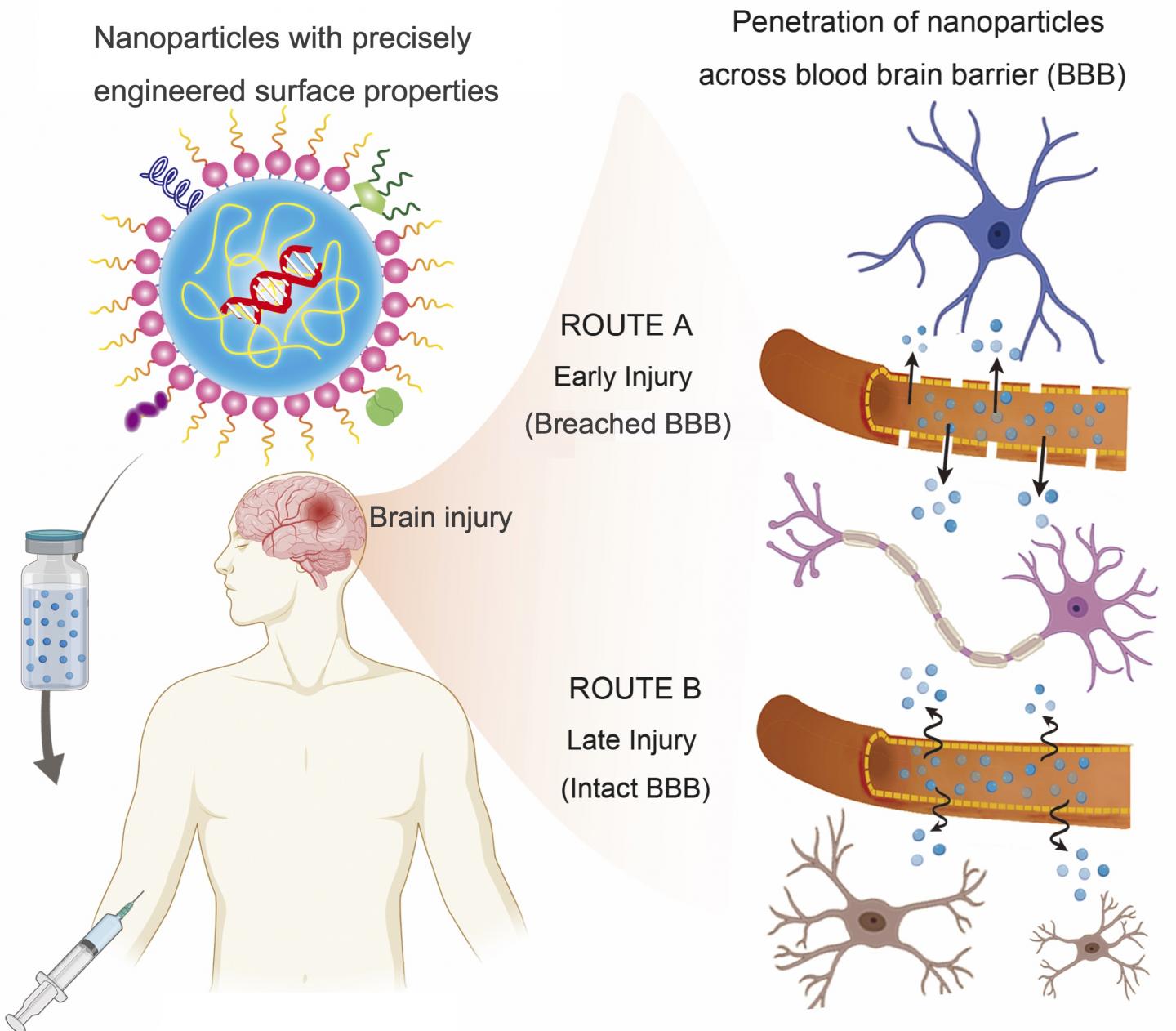 what-are-the-different-types-of-drug-delivery-systems-printable