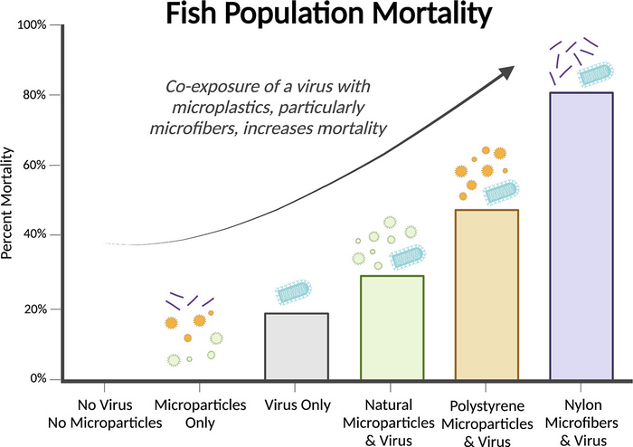 Microplastics and Virus