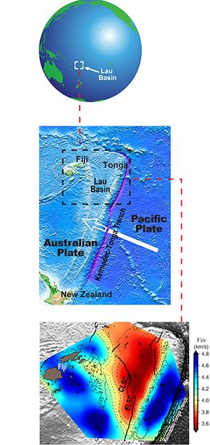 The Lau Basin and a Seismic Image of the Mantle