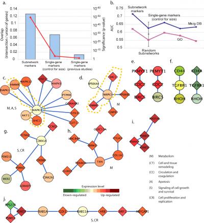Marker Reproducibility and Metastasis Prediction Performance