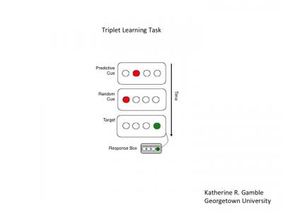 Tiplet-Learning Task