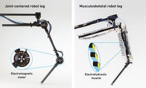 Comparison