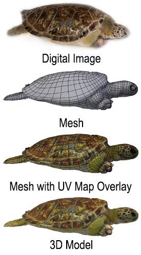 3-D Modeling Process