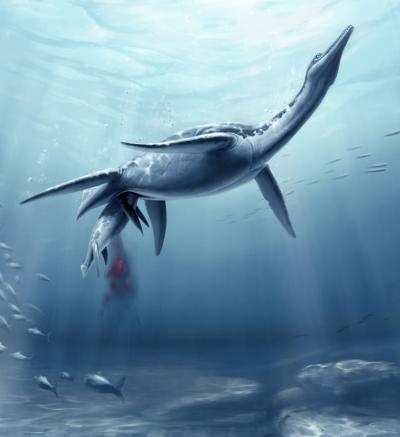 Plesiosaurs Birthed Live Young, May Have Cared for Them Too (4 of 4)