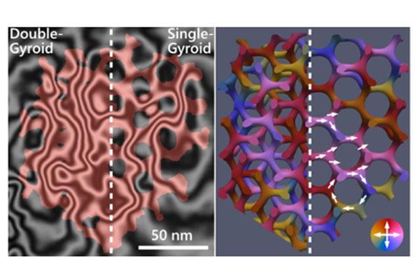 Intricate Magnetic Configuration of 3D Nanoscale Gyroid Networks Revealed