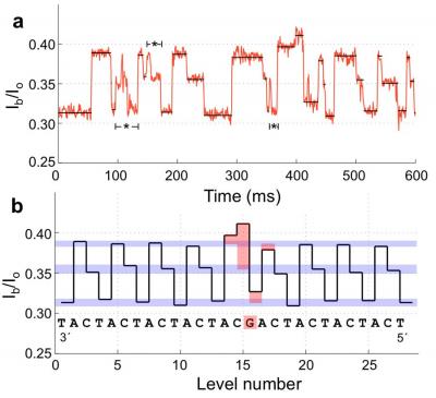 DNA Sequence