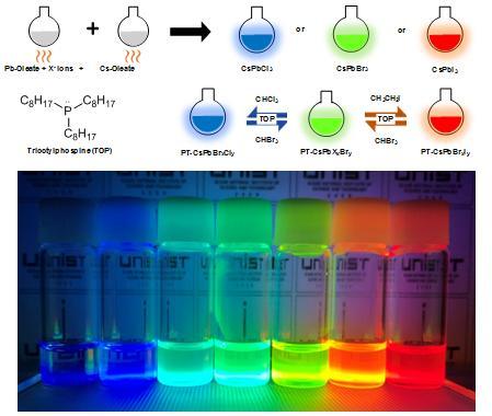 Illustration of Anion-exchanged Perovskite Nanocrystals