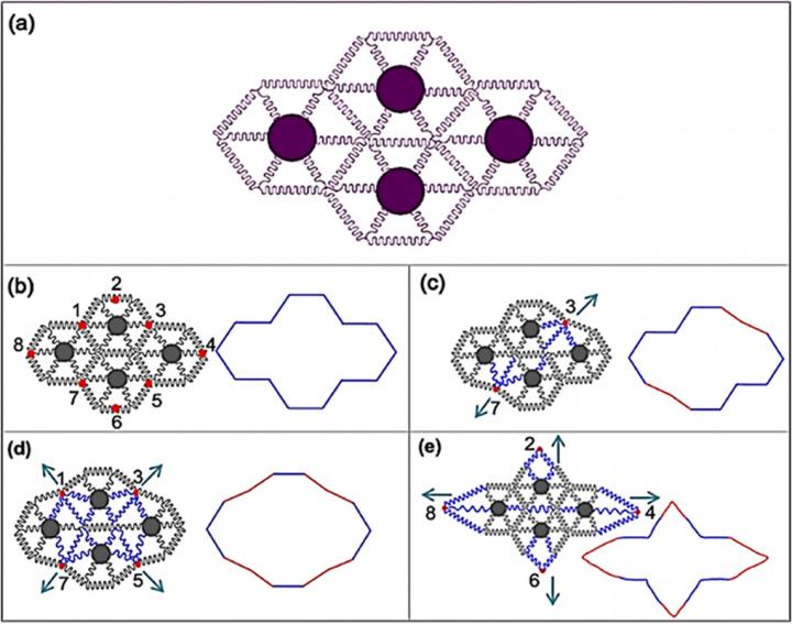 Serpentine-Honeycomb Reconfigurable Platform