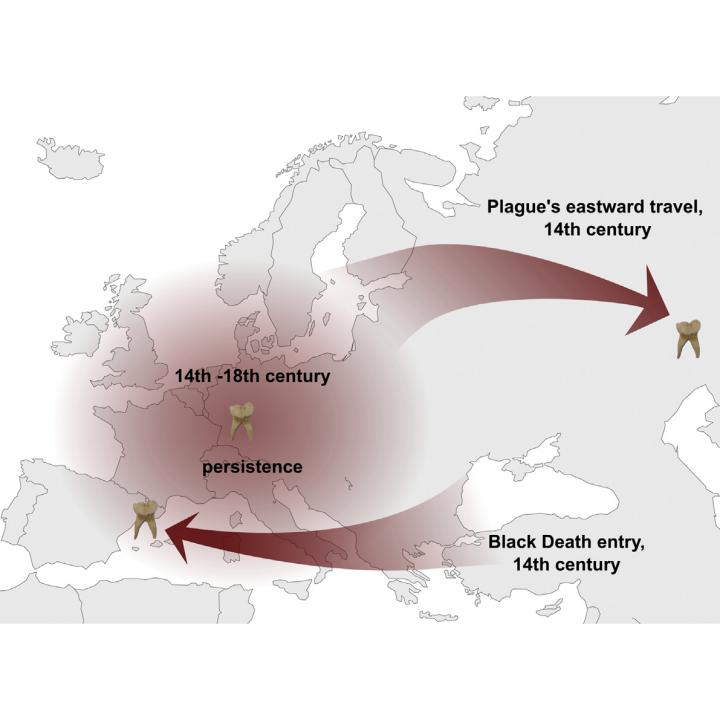 Path of Plague Pandemics