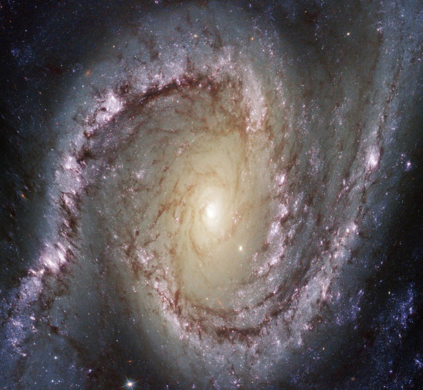 Processed image of a distorted spiral galaxy