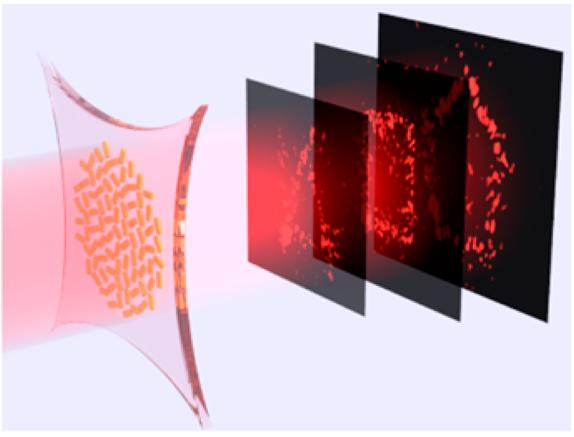 Stretchable Hologram Can Switch between Multiple Images (Video)