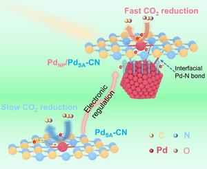 SCHEMATIC DIAGRAM OF CO₂ PHOTOREDUCTION MECHANISM