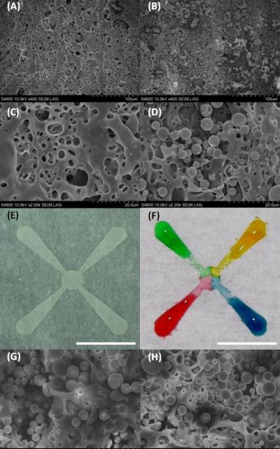 Colored Water Shows How Liquid Wicks along Tiny Channels Formed in Paper Using a Laser.