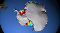 Circulation of Ocean Currents Around the Western Antarctic Ice Shelves (2 of 2)