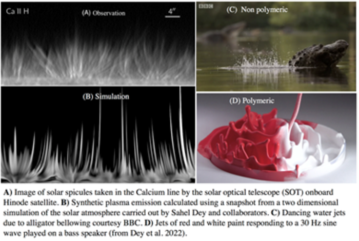 Polymeric jets throw light on the origin and nature of the forest of solar spicules