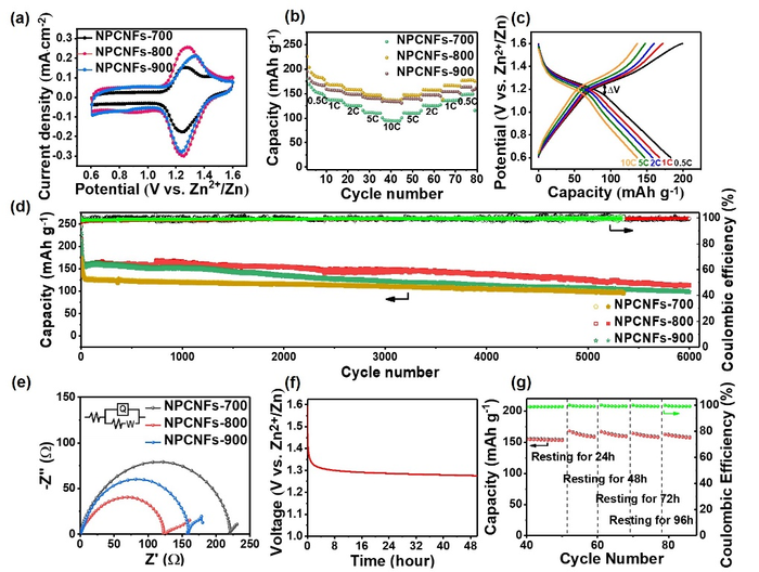 Shapeable carbon fiber networks with hierarchical porous structure for high-performance Zn–I2 batteries