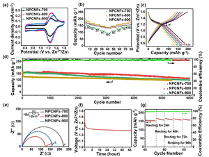 Shapeable carbon fiber networks with hierarchical porous structure for high-performance Zn–I2 batteries