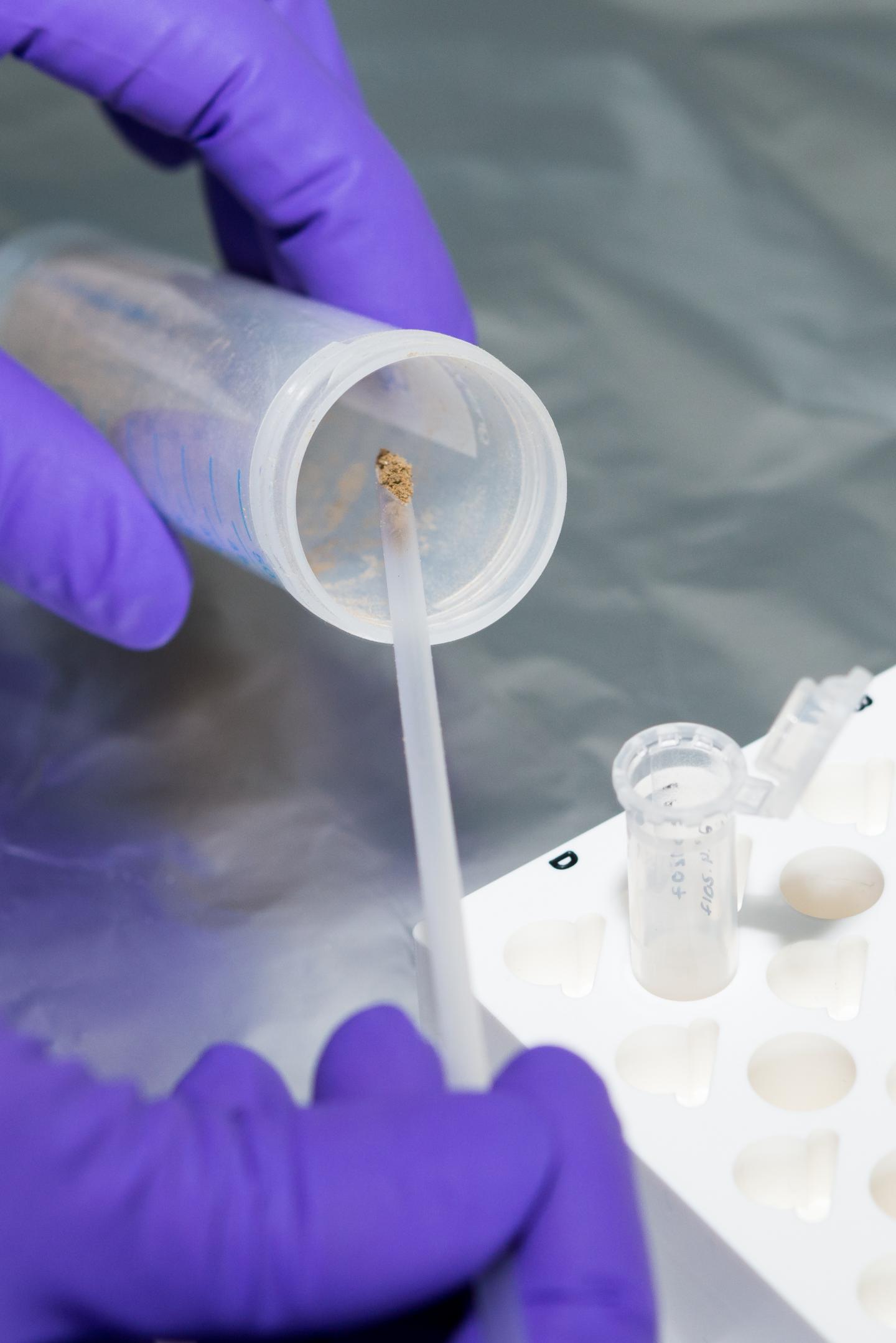 Human DNA Uncovered in Caves W [IMAGE] | EurekAlert! Science News Releases