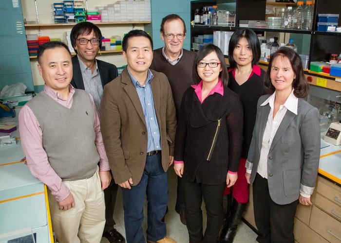 Team Develops New Approach to Treating Endometriosis