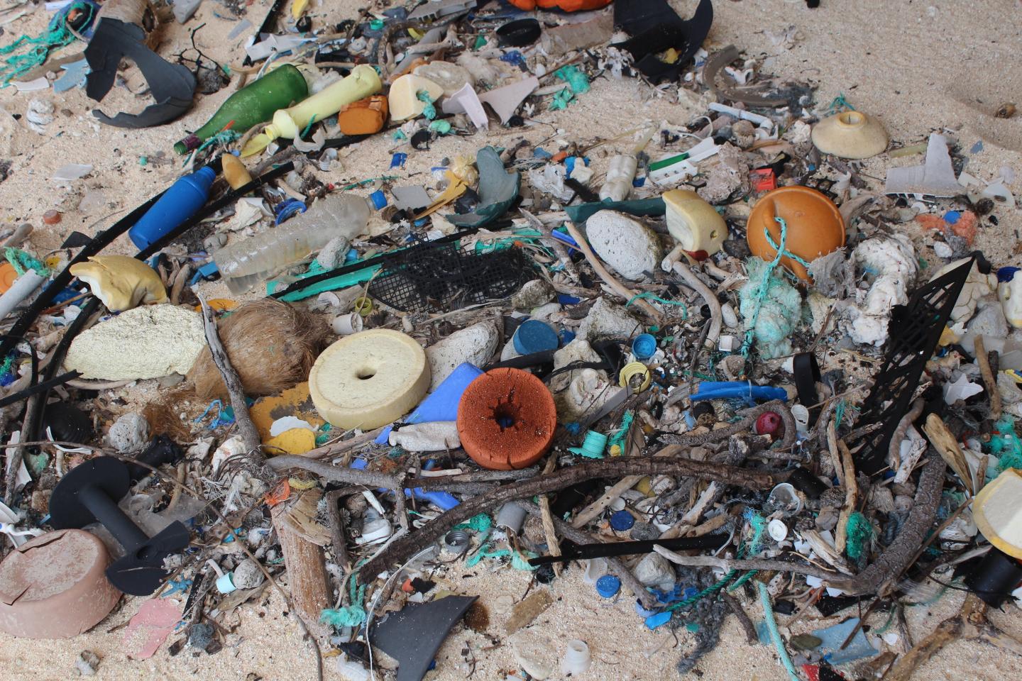 Closeup of Plastic Debris on East Beach, Henderson Island