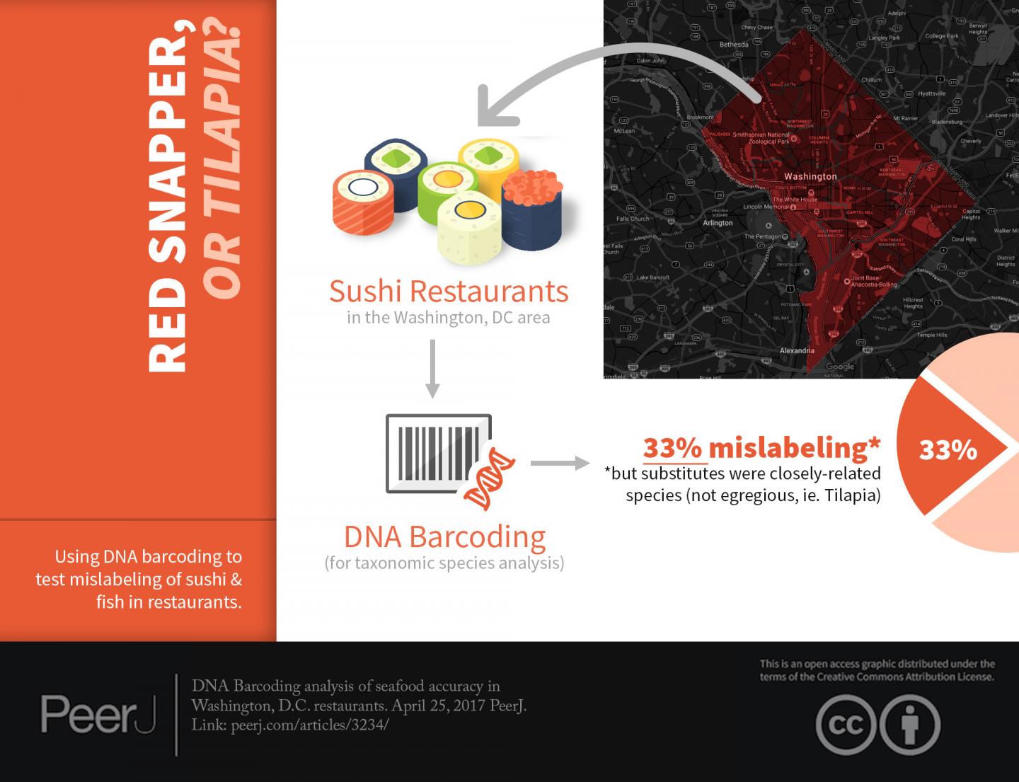 Red Snapper or Tilapia?