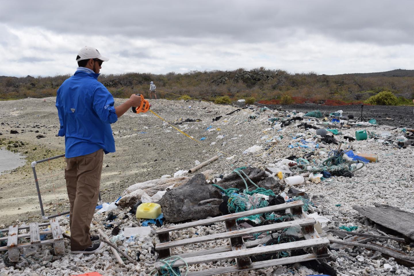 Galapagos plastic survey
