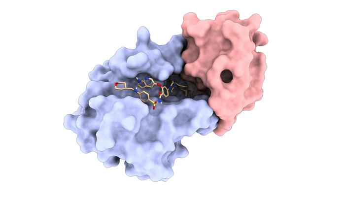 One of the LPDI's de novo protein binders (red) bound to the protein Bcl2 (blue) in complex with FDA-approved drug Venetoclax (beige)