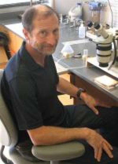 William Rice, University of Ca [IMAGE] | EurekAlert! Science News Releases