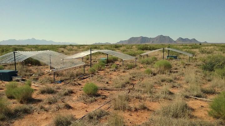 Jornada Basin Long-Term Ecological Research Site