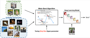 Meta-Semi state-of-the-art semi-supervised learning algorithm