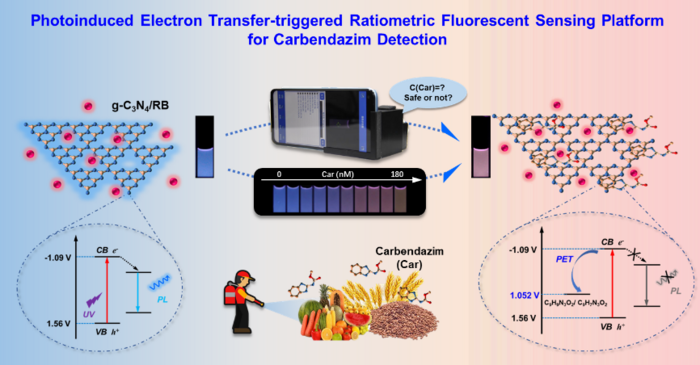 Ratiometric Fluorescence Sensing System Provides Smarter and Faster Screening of Carbendazim Residues
