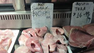 Shark meat on sale at fish market
