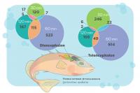 Graphic: Brain Gene Expression Changes