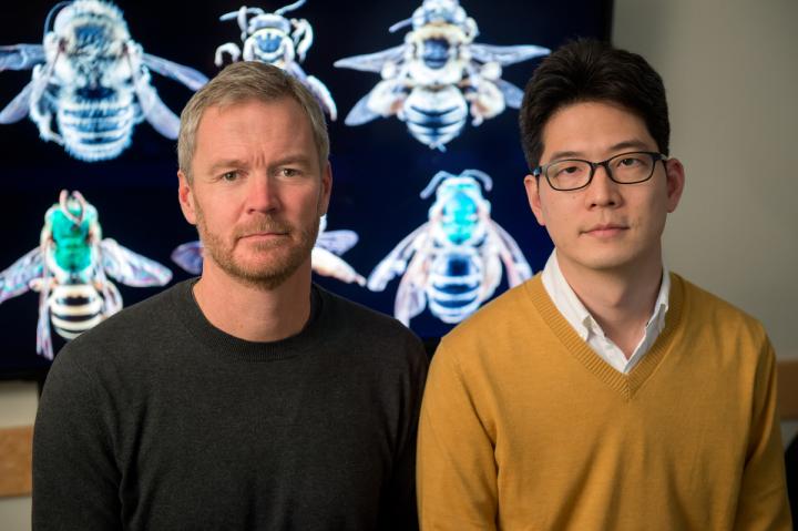 University of Vermont Bee Scientists