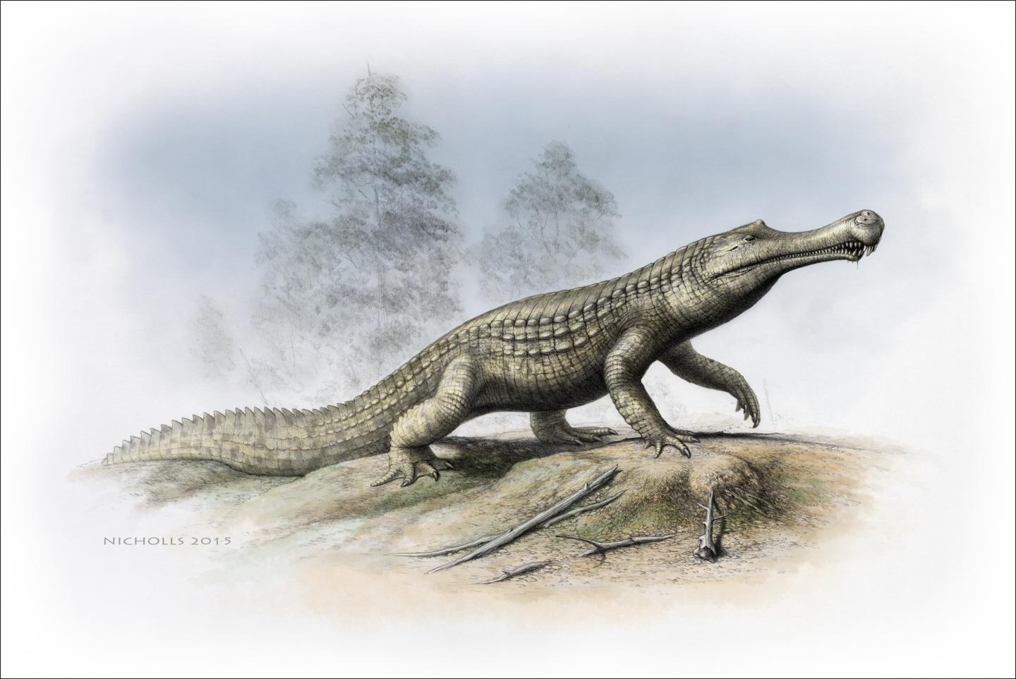 <I>Sarcosuchus</I>