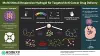 Carriers for Anti-Cancer Drugs Offer New Hope for Cancer Treatment