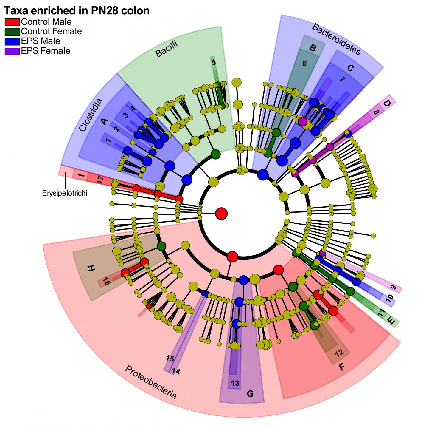 Microbiome Changes