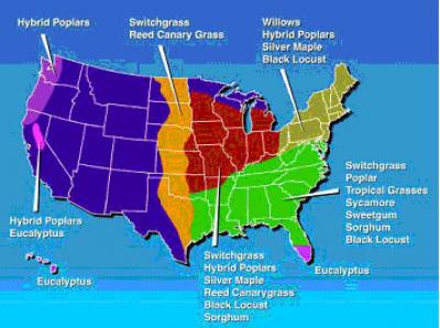 There Will Be Many Biomass Crops