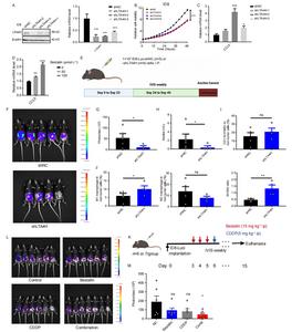 Targeting LTA4H inhibited ovarian cancer growth in vivo