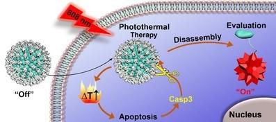 A Self-Evaluating Photothermal Therapeutic Nanoparticle